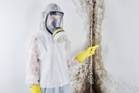 Professional Mold Remediation in Yucca Valley, CA